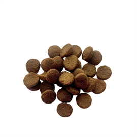 Ocean Atlantic - 12 kg.